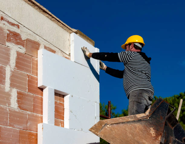 Best Geographic-Specific Insulation Services in Coleman, MI