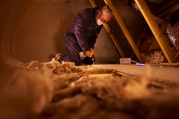 Best Commercial Insulation in Coleman, MI